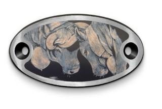 Emme Kuhkampf Katy Gross